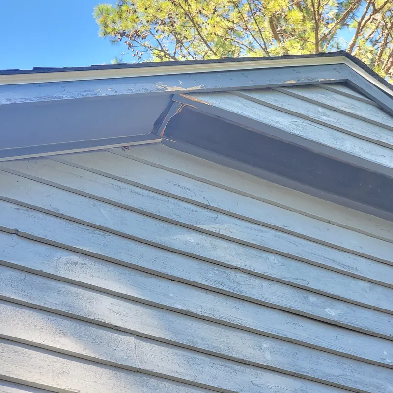 Bat Removal & Exclusion Services in Raleigh