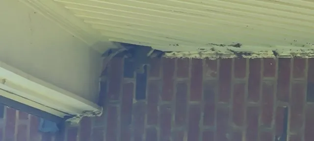 Bat droppings at a brick corner entry point, Zebulon NC