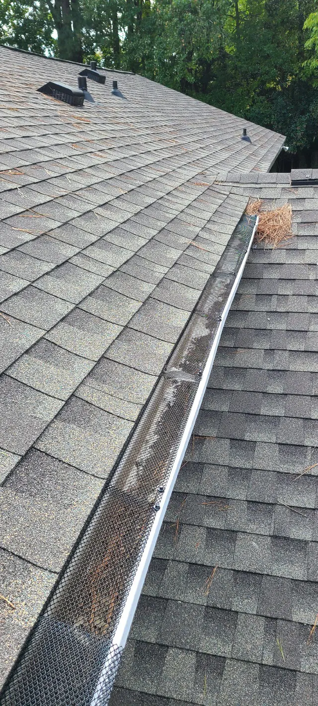 Squirrels gaining entry via the gutters · Falls Church, Raleigh