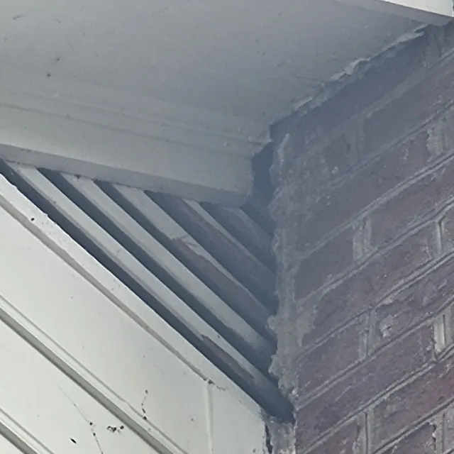 Squirrels and bats entering the structure · Fox N Hounds, Zebulon